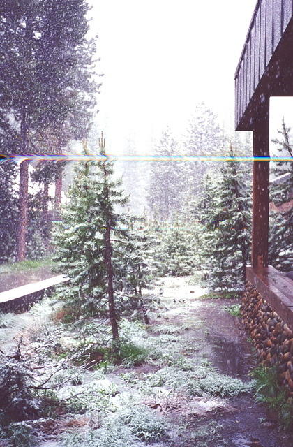 Album12.jpg