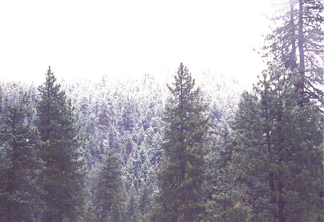 Album17.jpg