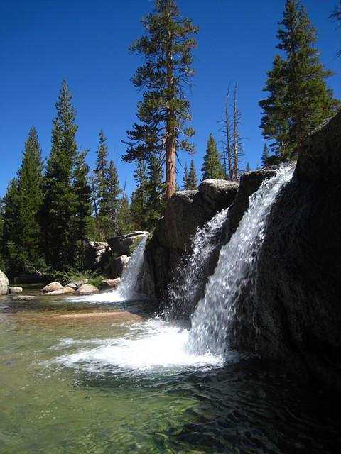 IMG_2254.JPG
