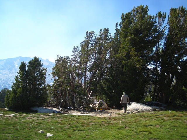 IMG_2261.JPG