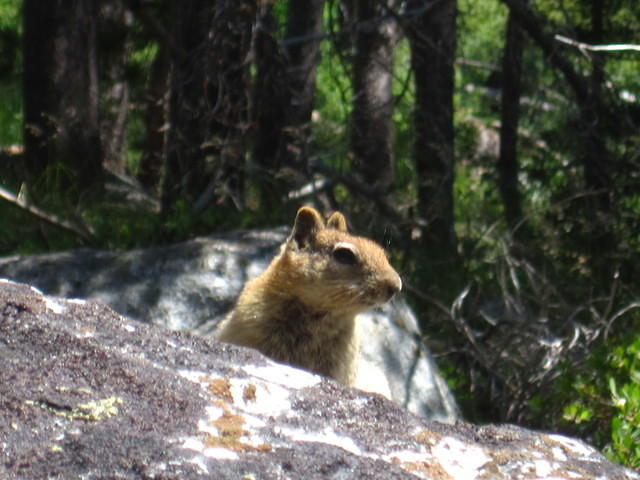 IMG_2292.JPG