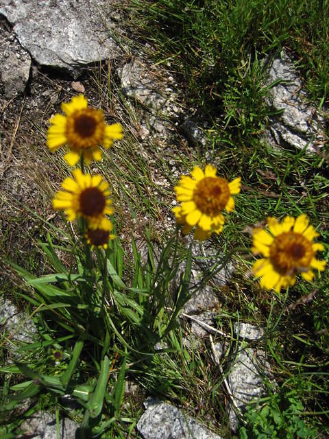 IMG_2314.JPG