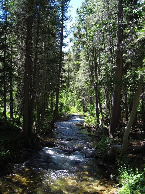 IMG_2353.JPG