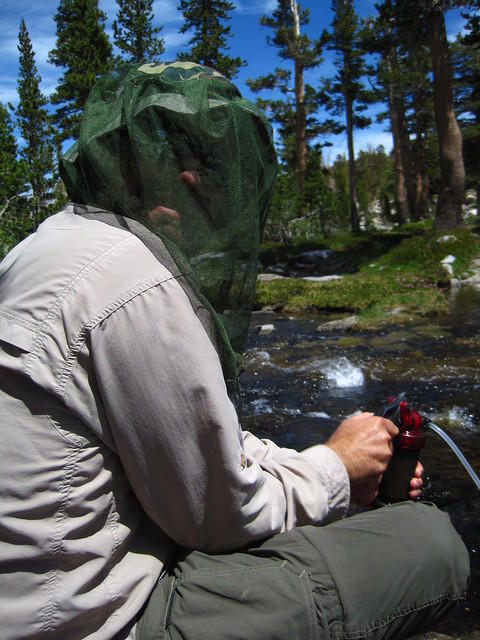 IMG_2398.JPG