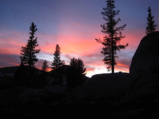 IMG_2421.JPG