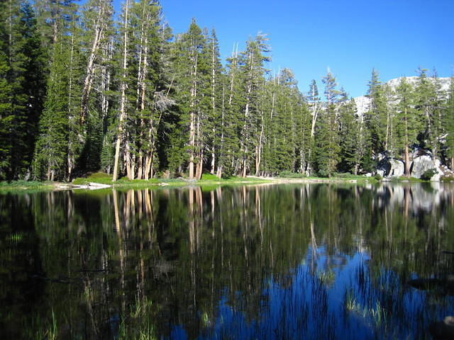 IMG_2491.JPG