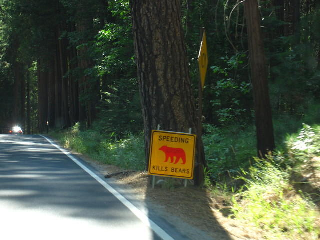 IMG_2681.JPG