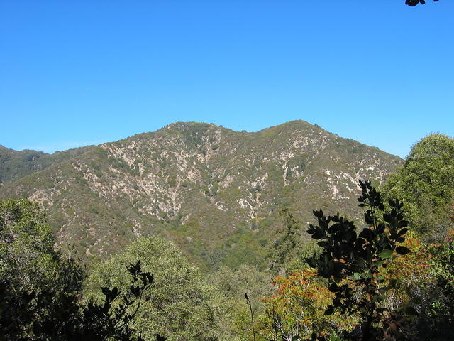 155-5513_IMG.JPG