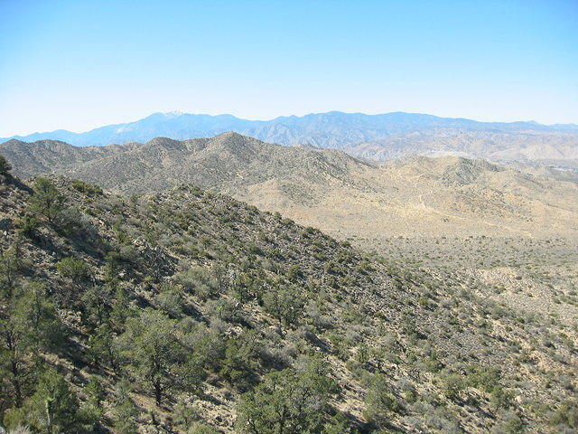 100-0024_STD.JPG
