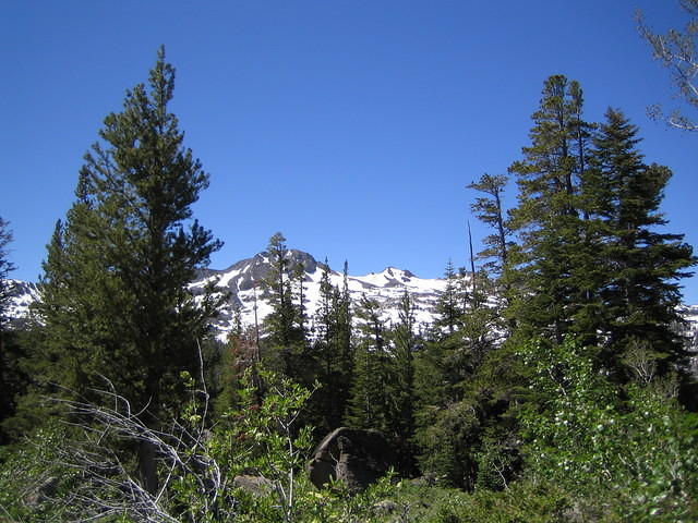IMG_0062.jpg