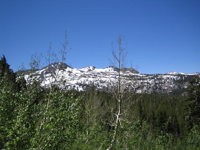 IMG_0064.jpg