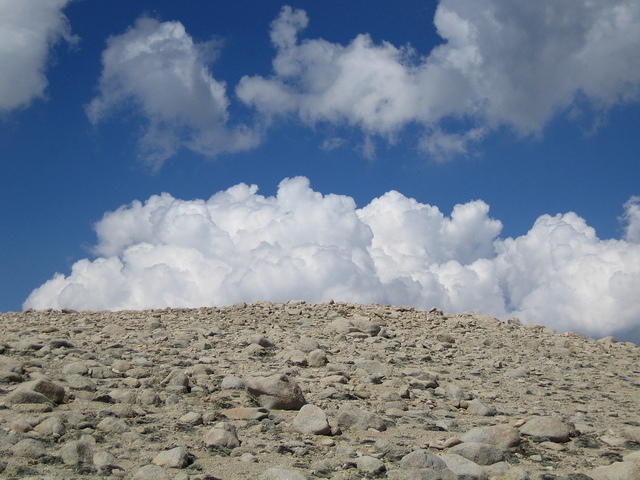 IMG_0215.jpg