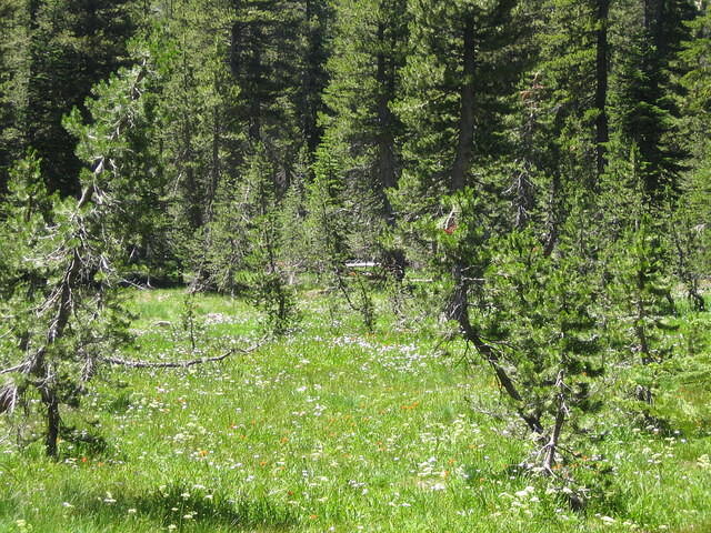 IMG_2831.JPG