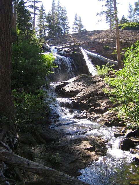 IMG_2864.JPG