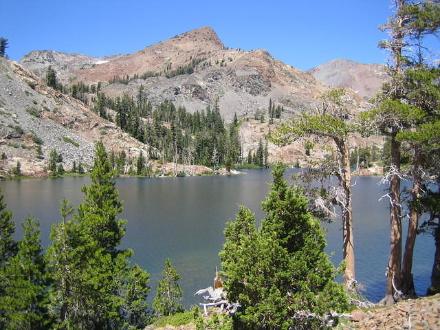 IMG_2894.JPG