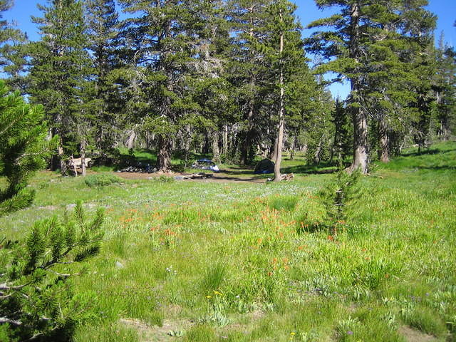 Meadow next to our campsite