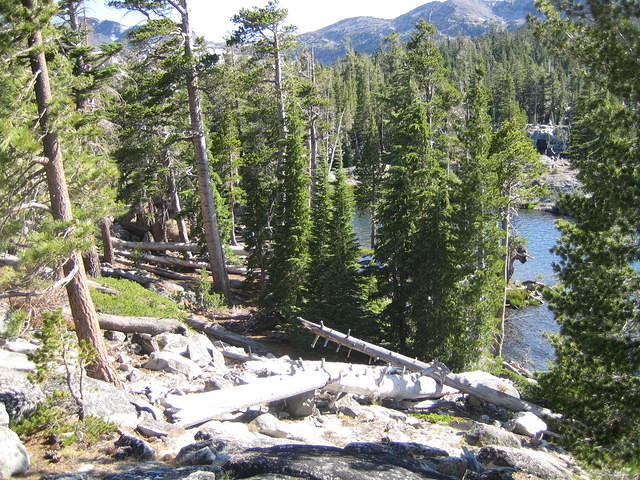 IMG_2951.JPG