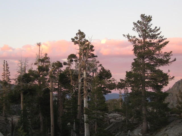 IMG_2962.JPG