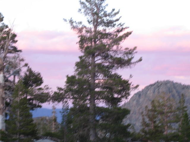IMG_2965.JPG