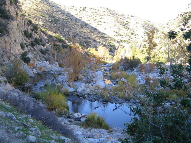 IMG_0774.jpg