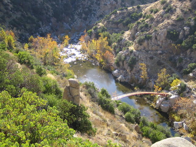 IMG_0776.jpg
