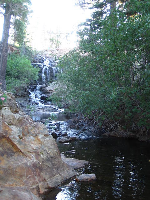 IMG_5403.JPG