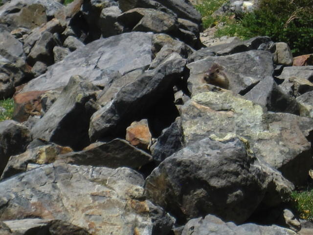 IMG_5451.JPG
