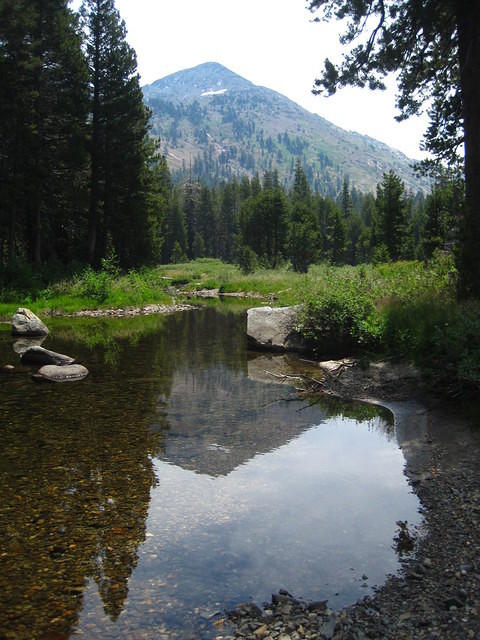 IMG_5681.JPG