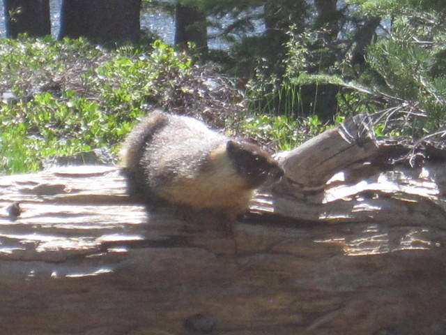 IMG_0171.JPG