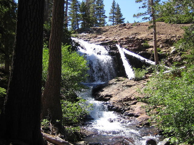 IMG_1707.jpg