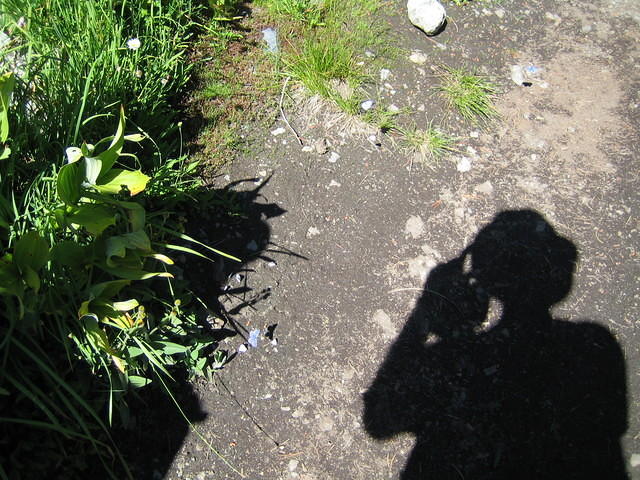 IMG_1712.jpg