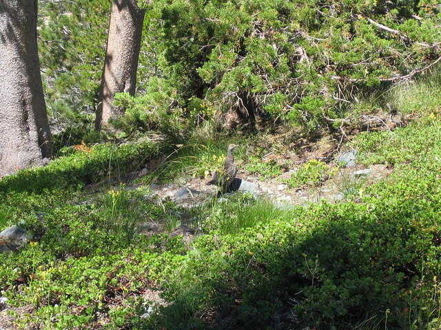 IMG_1728.jpg