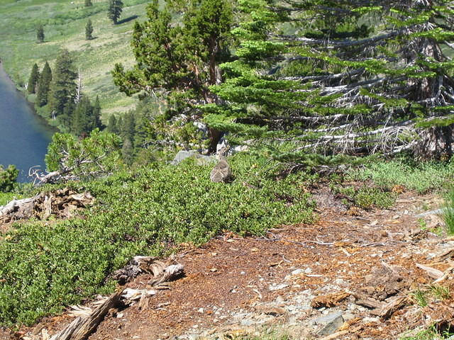 IMG_1733.jpg