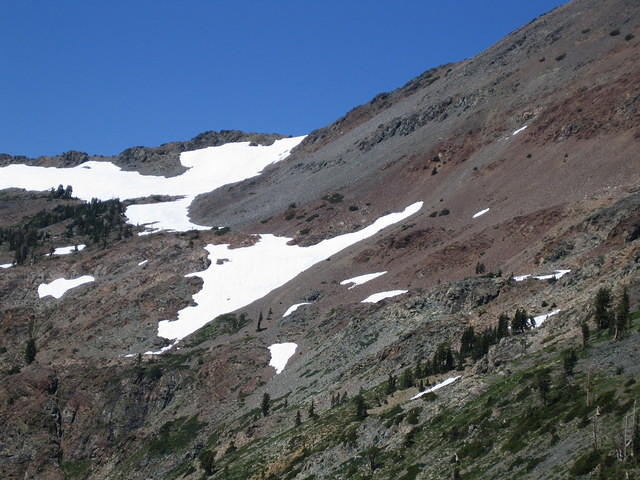 IMG_1735.jpg