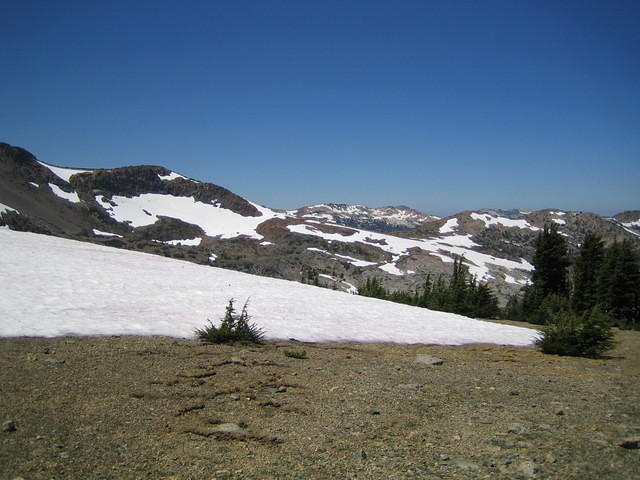 IMG_1743.jpg