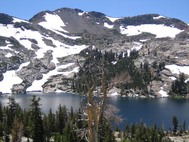 IMG_1744.jpg