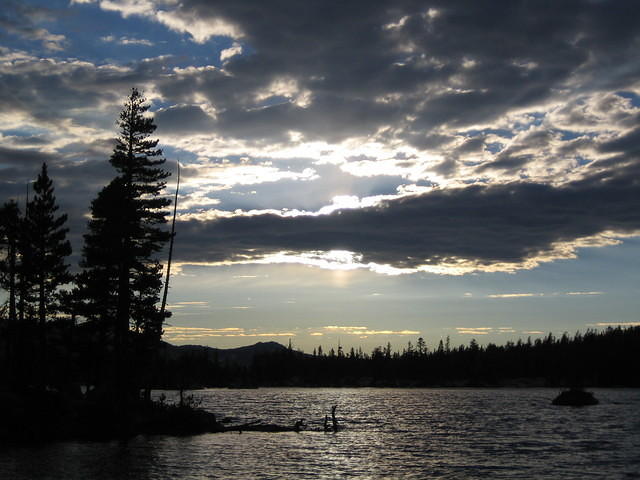 IMG_1767.jpg
