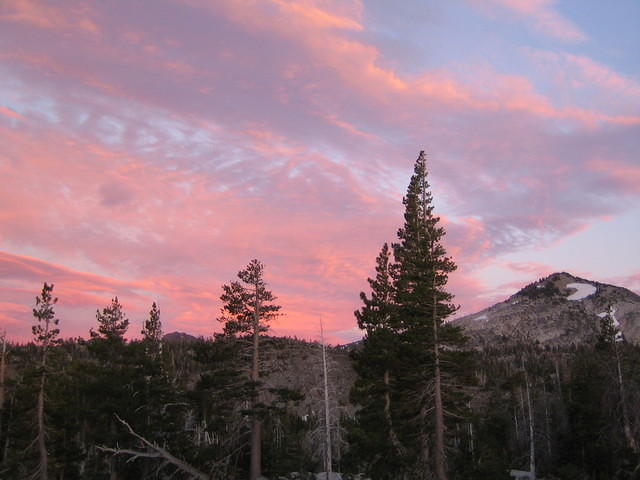 IMG_1774.jpg