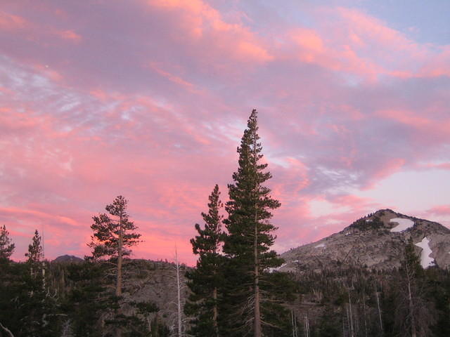 IMG_1776.jpg