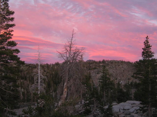 IMG_1778.jpg