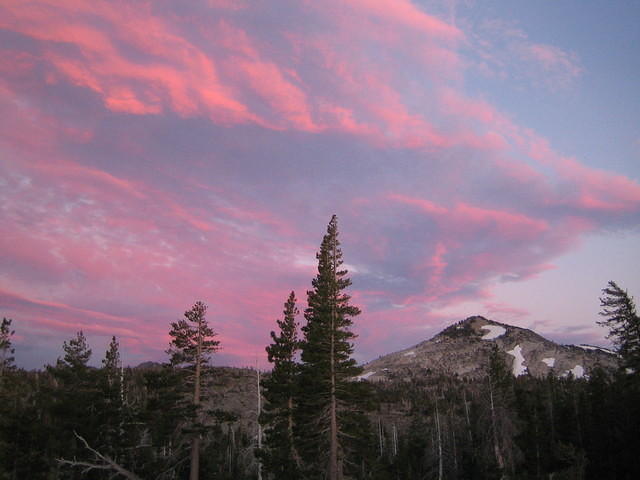 IMG_1782.jpg