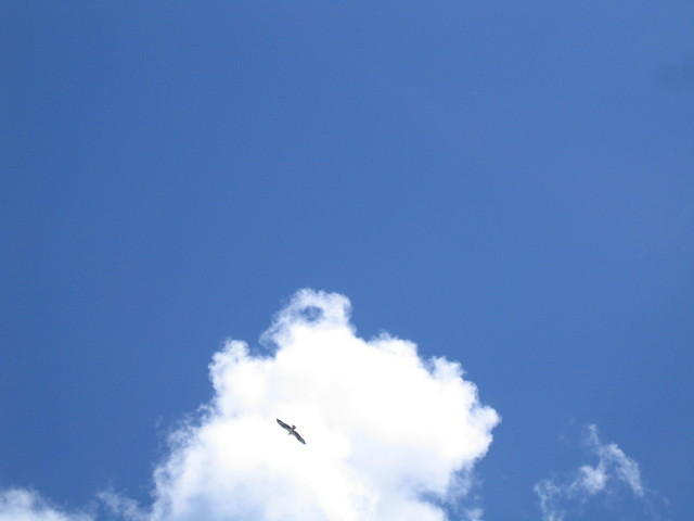 IMG_1802.jpg