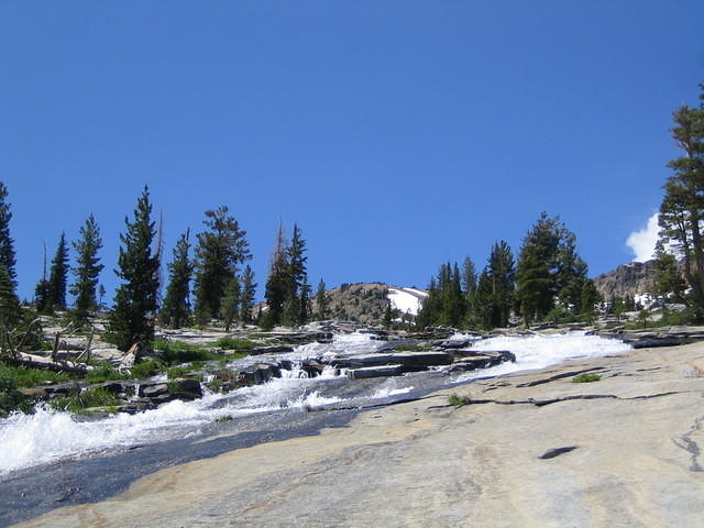 IMG_1813.jpg