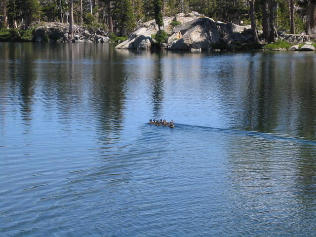 IMG_1817.jpg