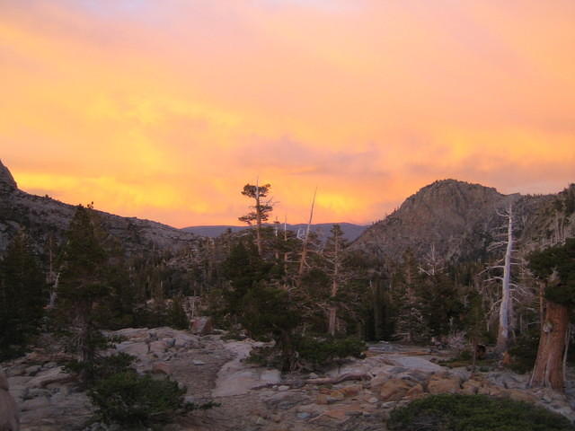 IMG_1833.jpg