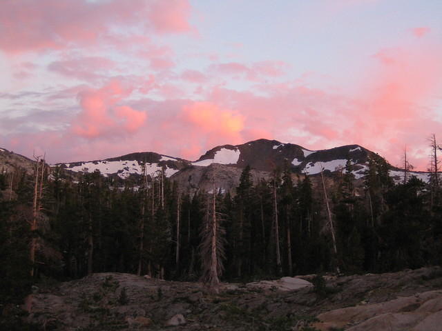 IMG_1838.jpg