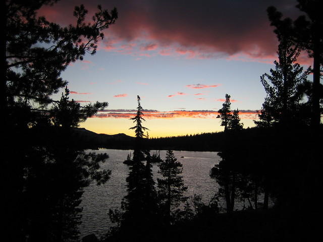 IMG_1847.jpg