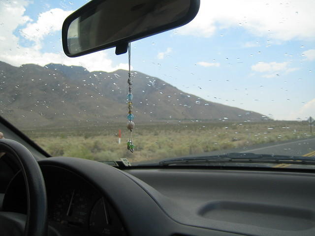 IMG_5907.jpg