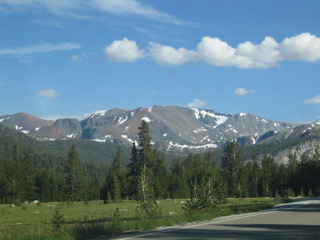 IMG_5908.jpg