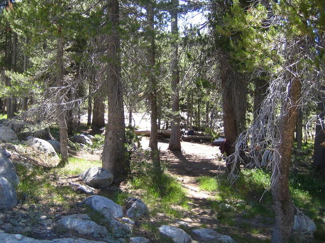 IMG_5919.jpg